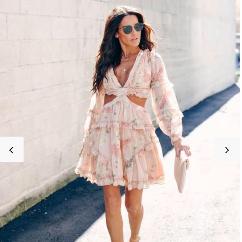 Vici Rose Water Floral Chiffon Dress NWT
